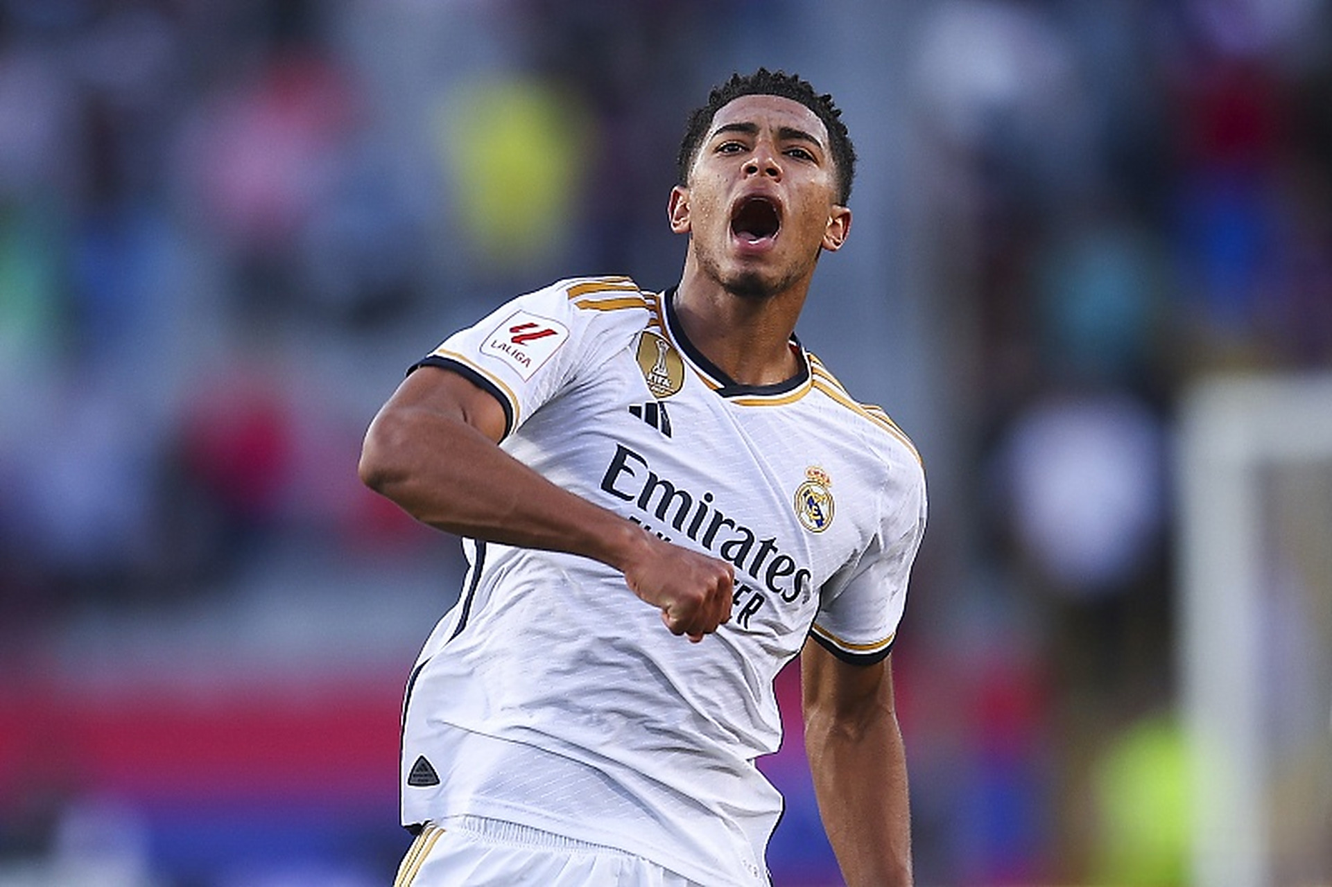 正训练密度 正训练密度